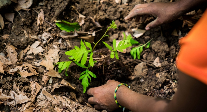 service learning on outdoor leadership course